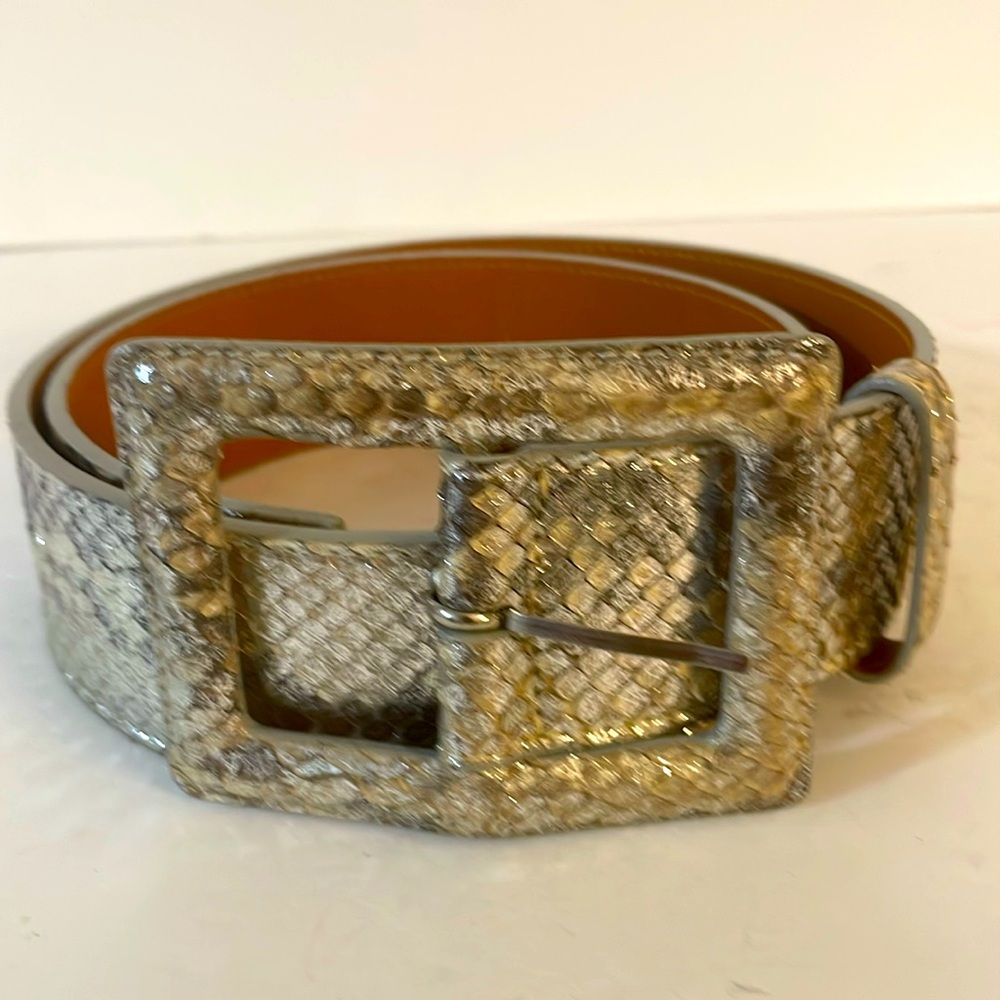 Python Snake Belt Silver 31” - image 1